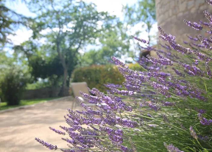 Chateau De Chaussy *