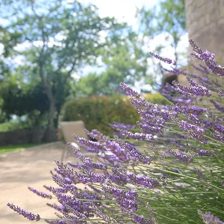 Chateau De Chaussy *